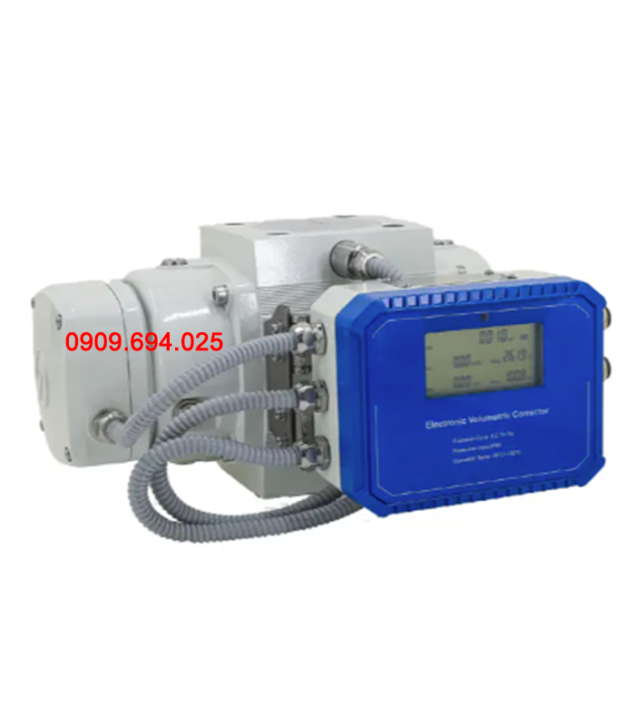 Đồng Hồ Đo Lưu Lượng Khí Gas Kiểu Roots Suremeter